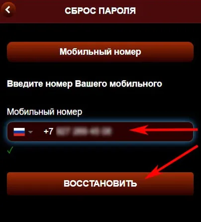 Первый шаг восстановления доступа к игре на счёт: номер телефона